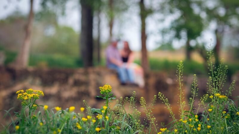 Upoznaj savršenog partnera danas