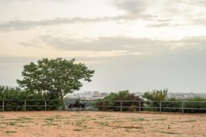 Pročitajte više o članku Upoznavanje: opasnosti i savjeti