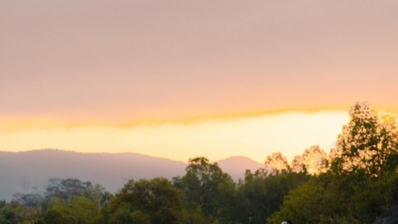 Flert: savjeti za uspješno osvajanje