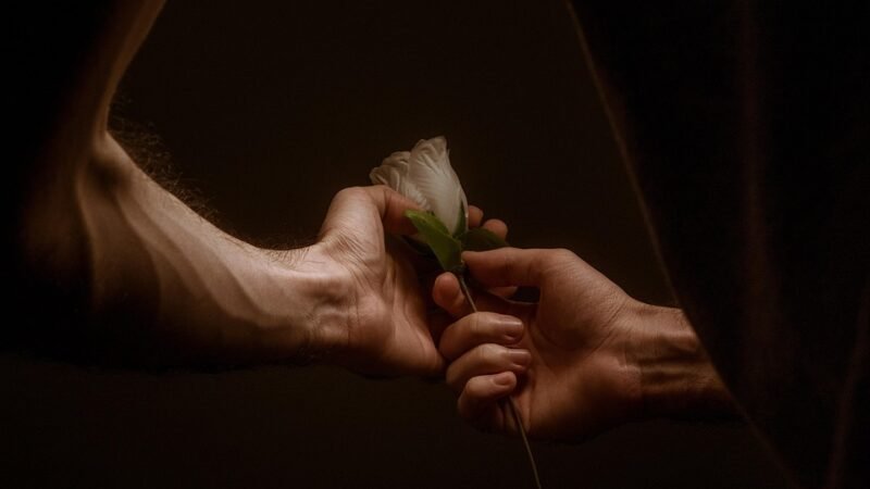 Slobodne dame traže partnera za ljubav