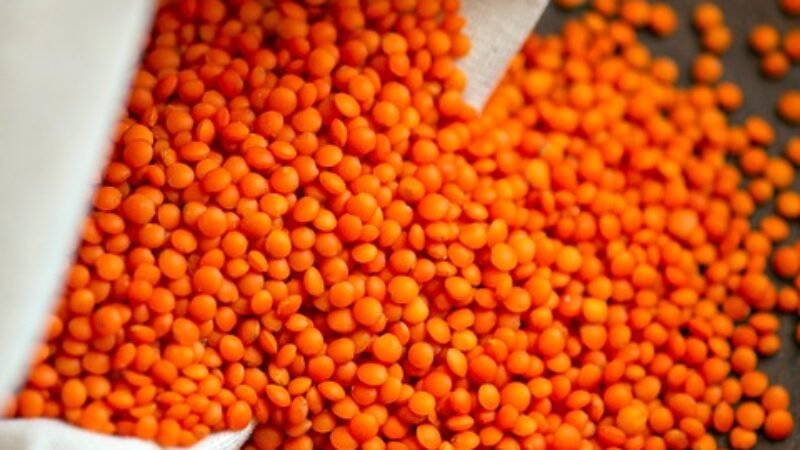 Povećaj Snagu i Energiju: 5 Hrane Koje Svaki Muškarac Treba Jesti Za Bolje Zdravlje